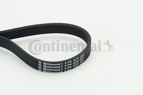 Continental ctam 6pk1270 - continental,