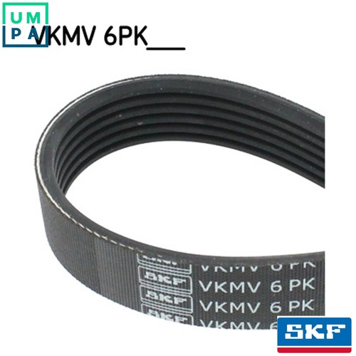 Vribbed belt vkmv - belt,