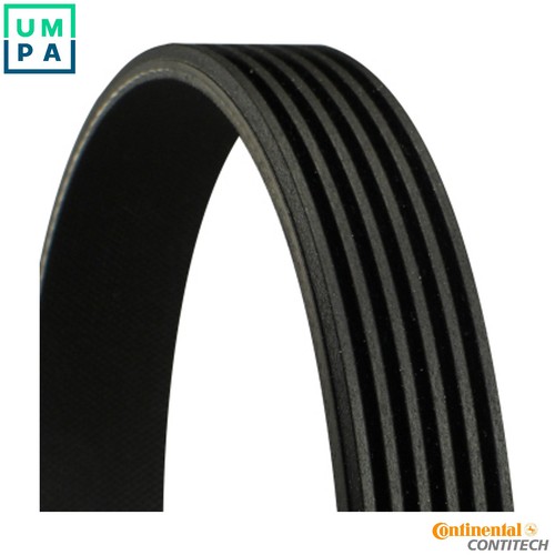 Vribbed belt 6pk1153 for - vribbed,